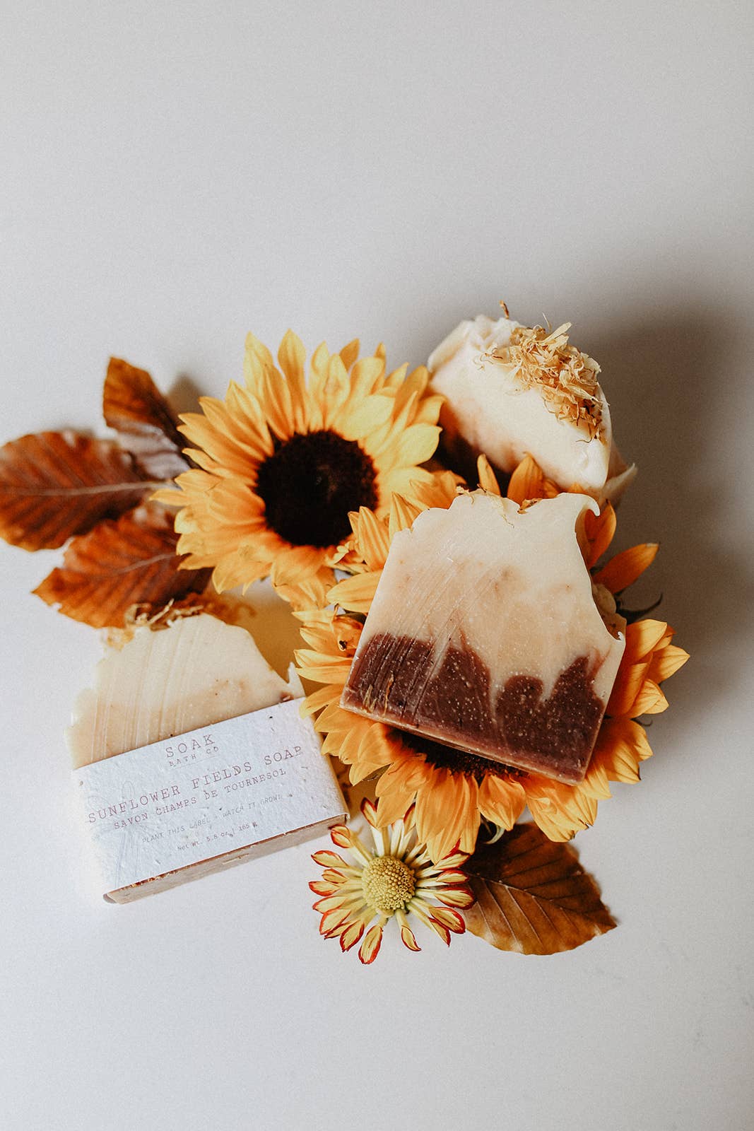 Sunflower Fields Soap Bar - Fall Collection