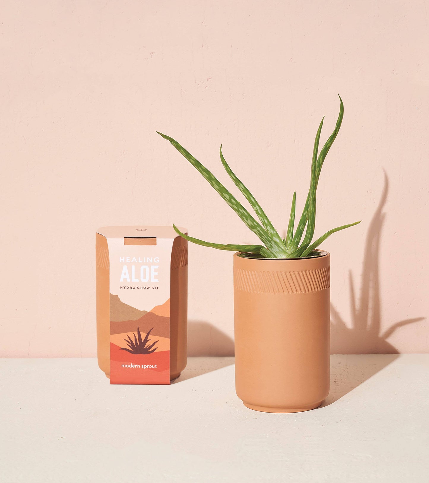 Terracotta Kit - Aloe